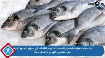 «أسعار مميزة» أسعار الأسماك اليوم الثلاثاء في سوق العبور تعرف على تفاصيل البوري والأكثر طلبًا